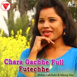 Chara Gachhe Full Futechhe